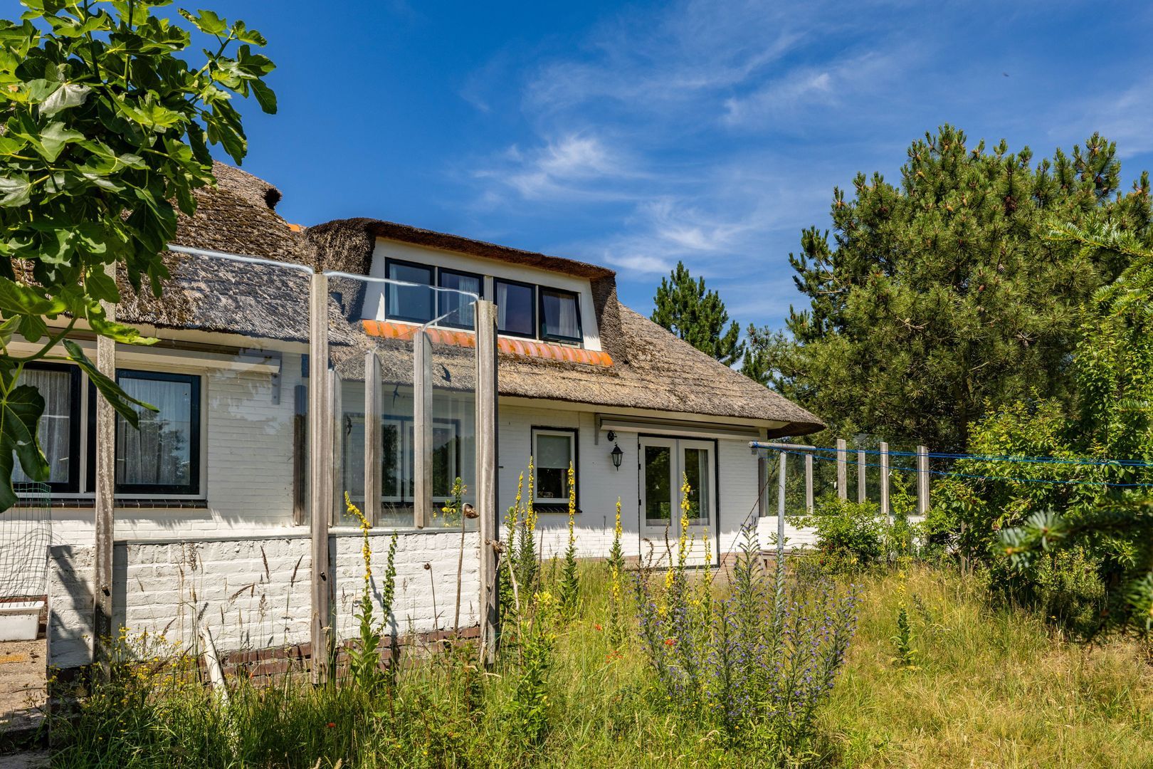 Jacobspad 2, Schiermonnikoog foto-15