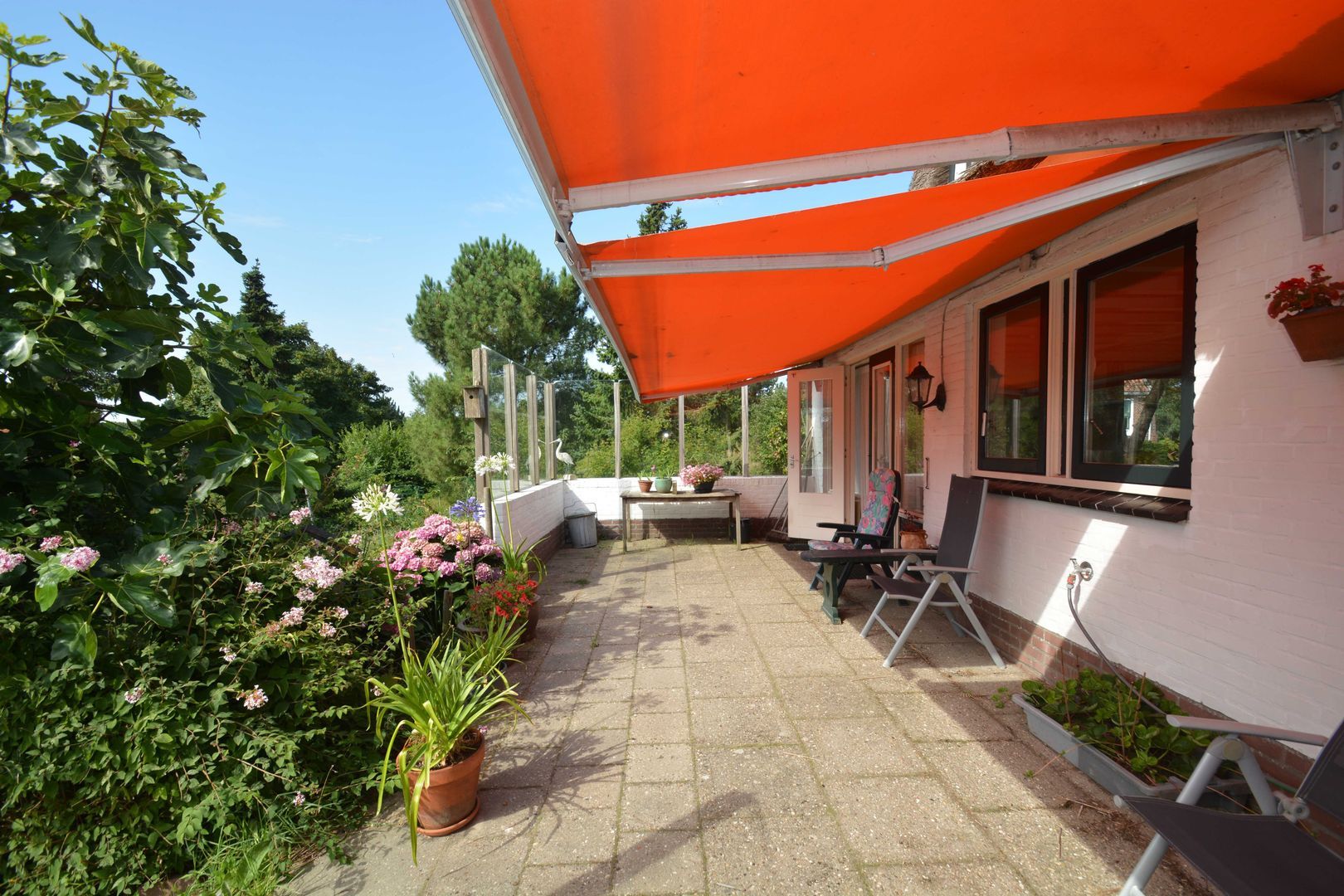 Jacobspad 2, Schiermonnikoog foto-34