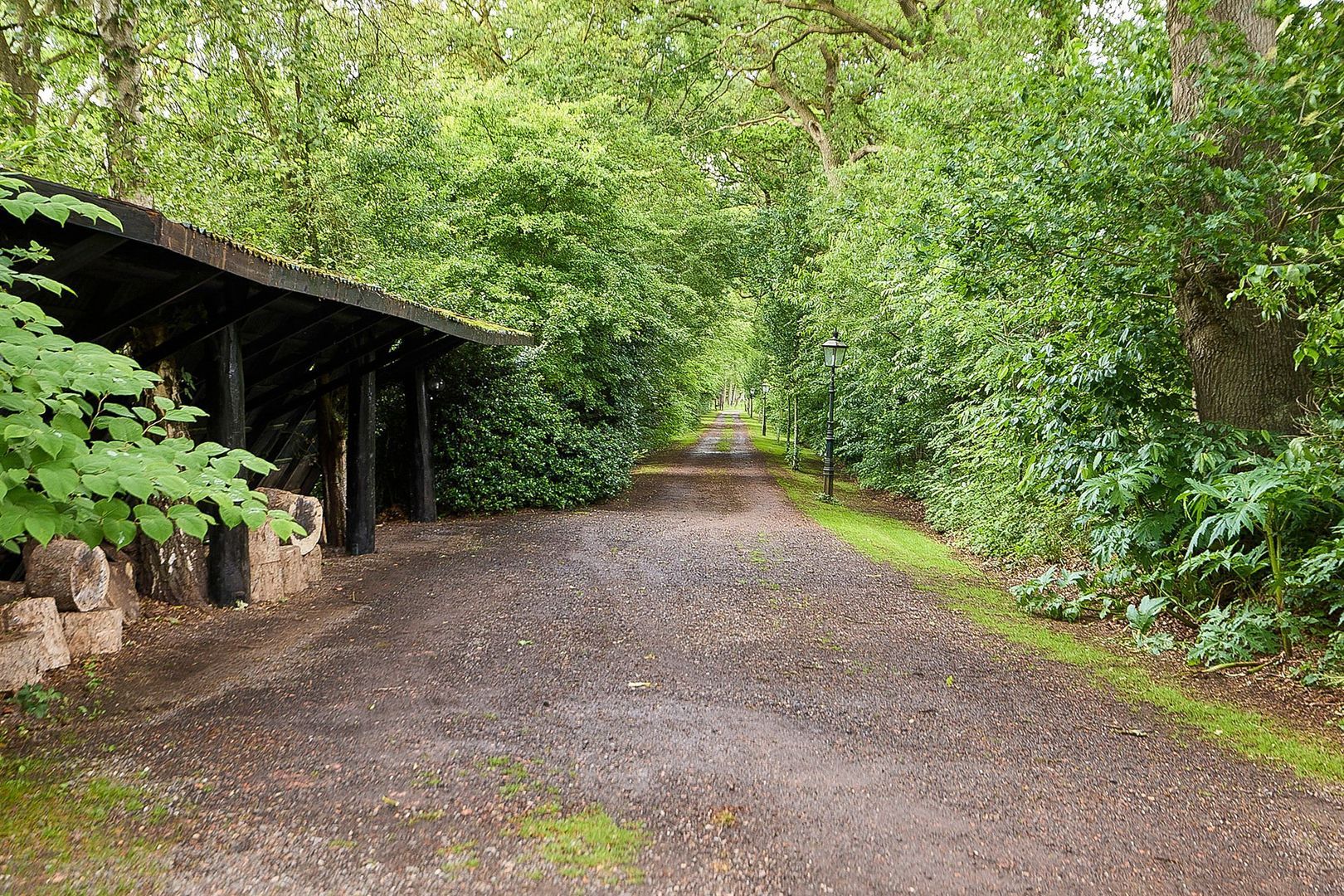 Rijksstraatweg 128, Glimmen foto-64
