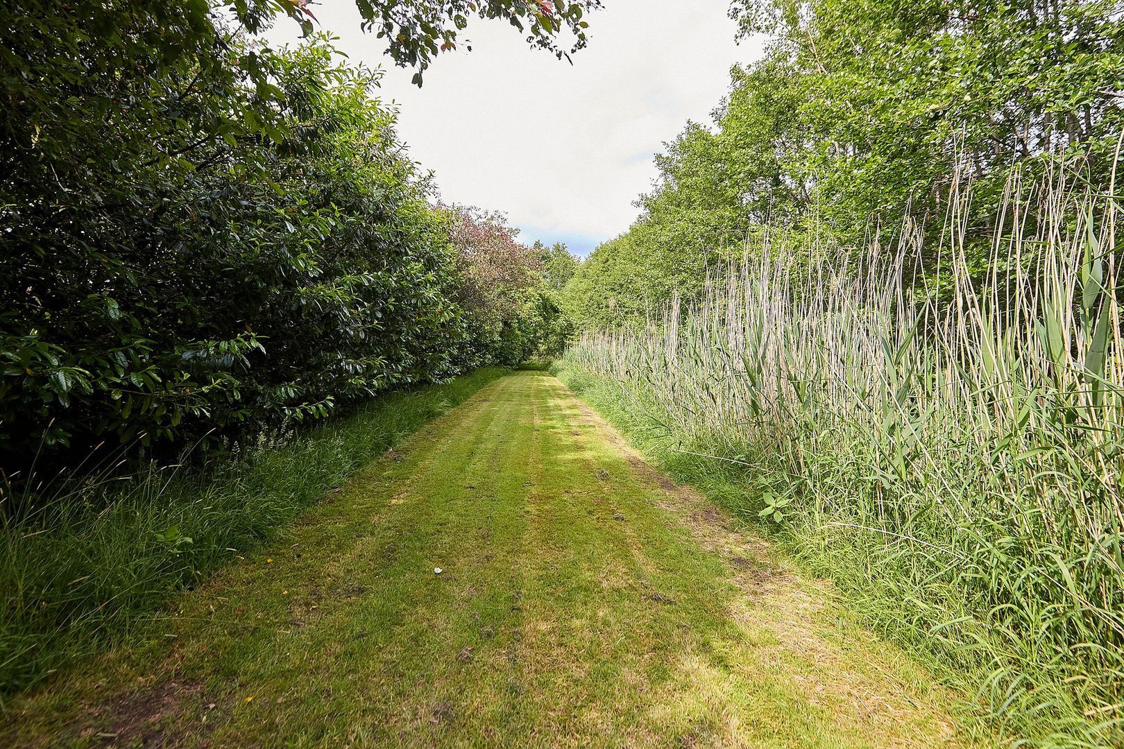Rijksstraatweg 128, Glimmen foto-62