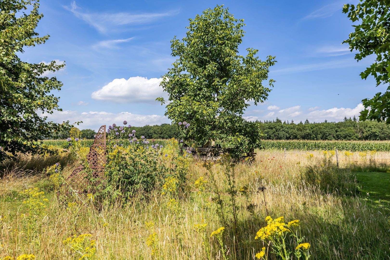 Bergveenweg 1, Veenhuizen foto-59