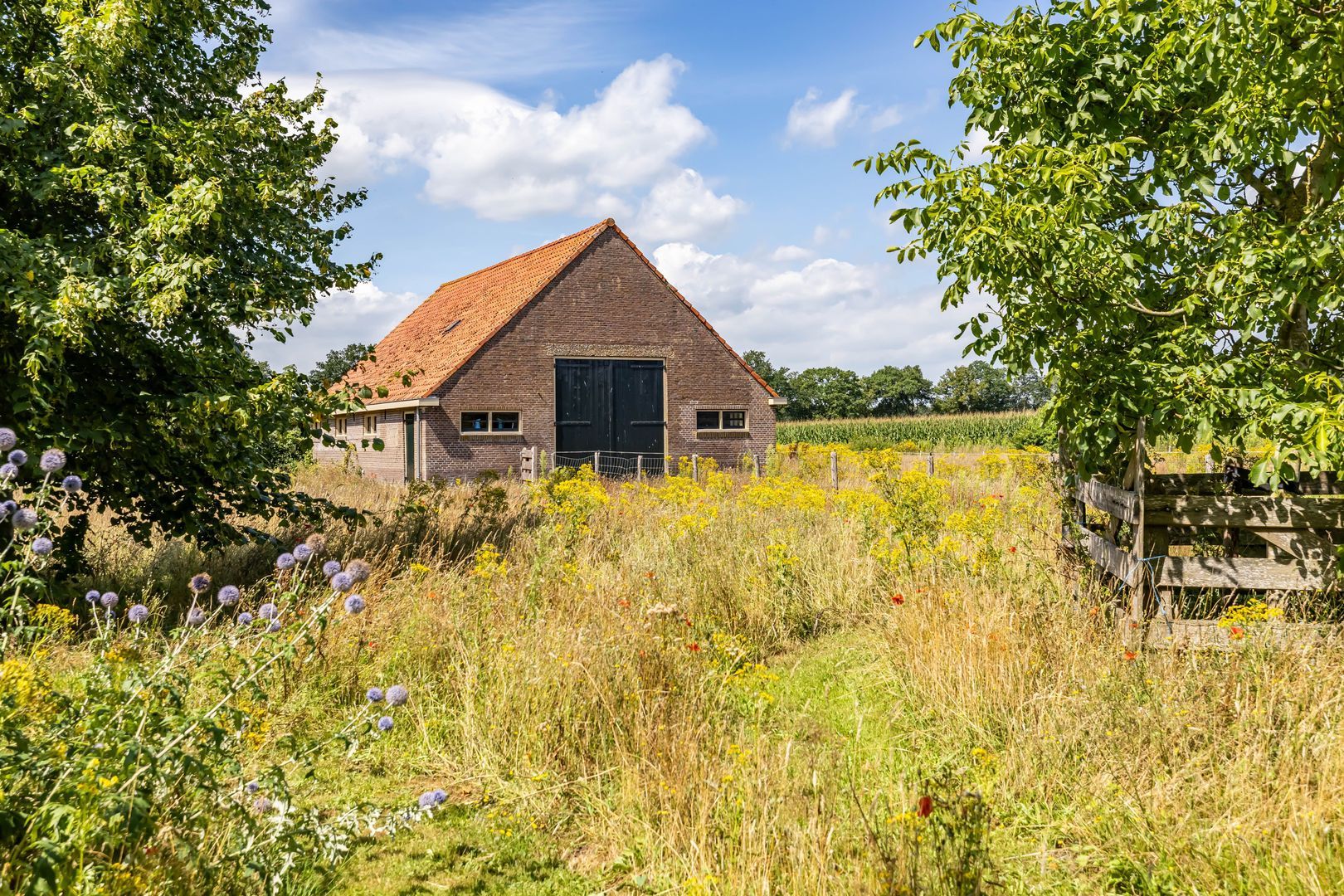 Bergveenweg 1, Veenhuizen foto-60