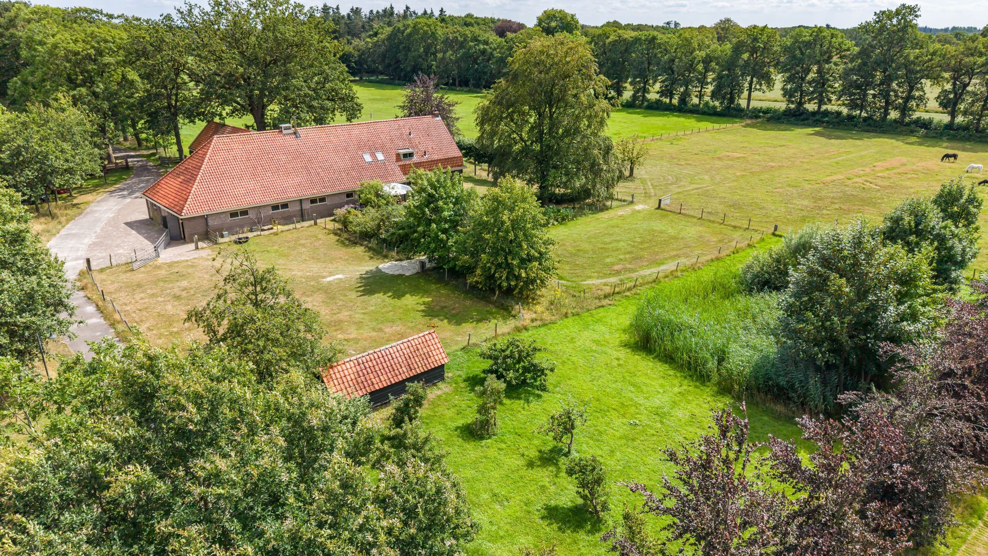 Bergveenweg 1, Veenhuizen foto-6