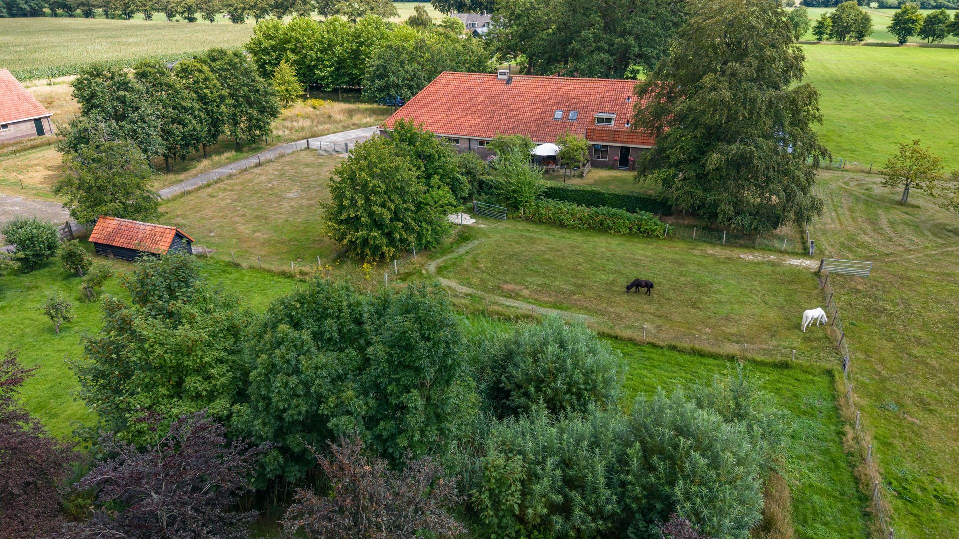 Bergveenweg 1, Veenhuizen foto-7