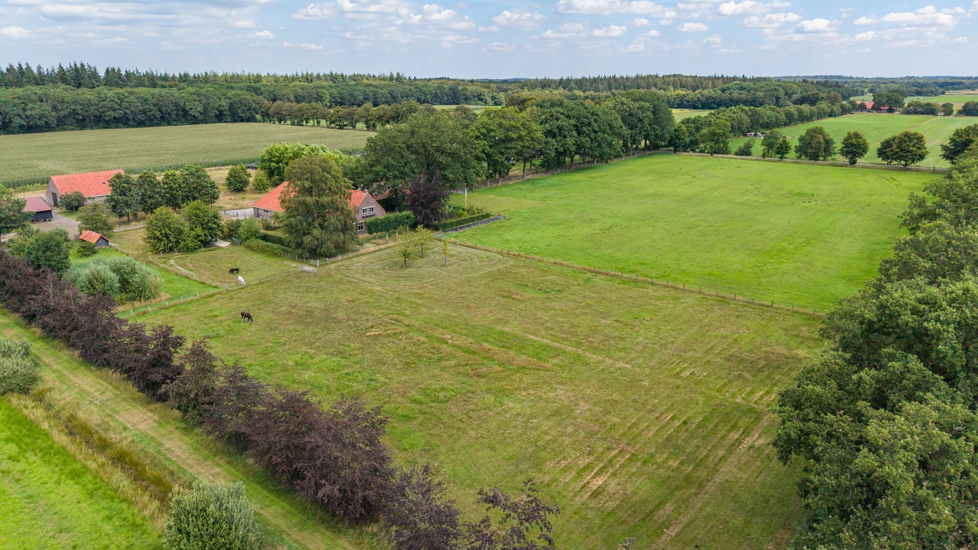Bergveenweg 1, Veenhuizen foto-69