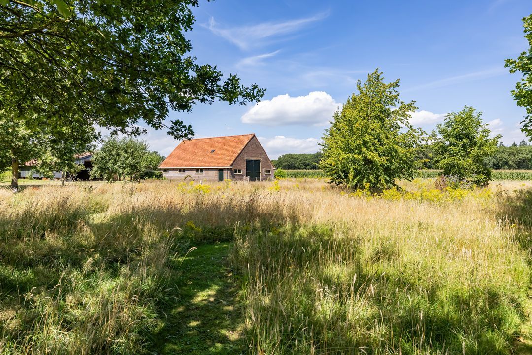 Bergveenweg 1, Veenhuizen foto-3