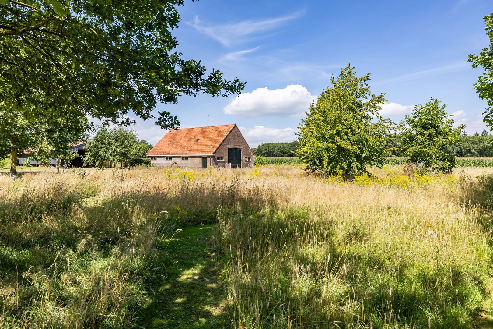 Bergveenweg 1, Veenhuizen foto-2