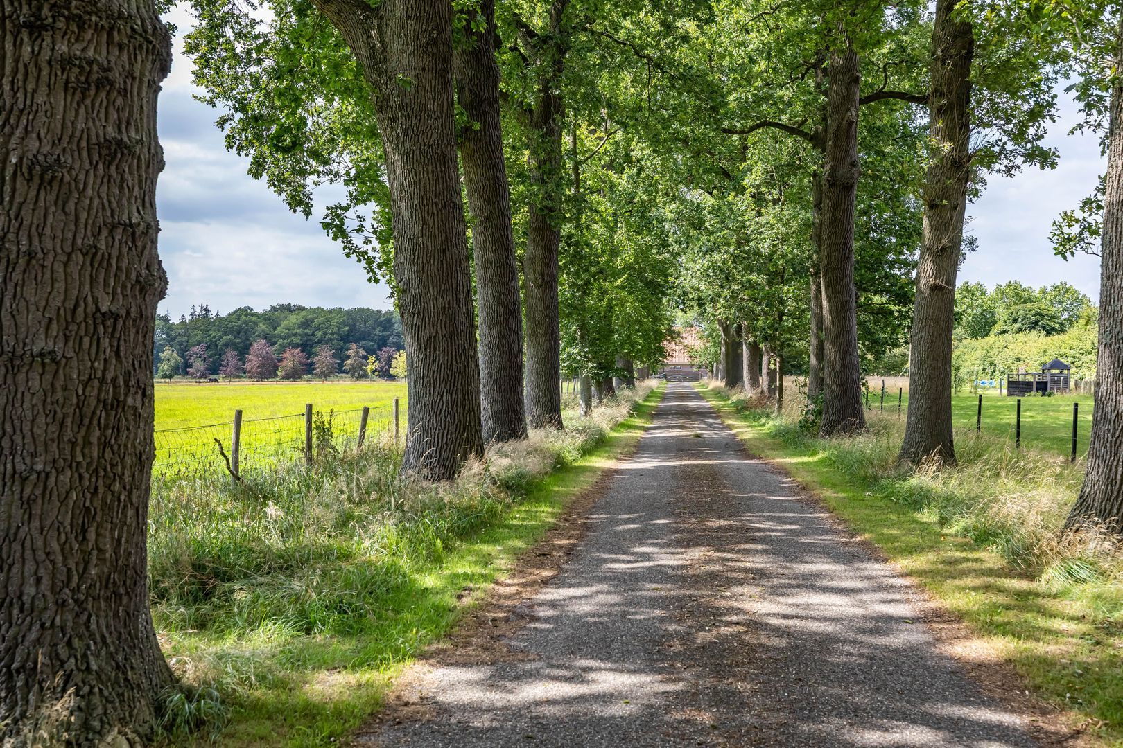 Bergveenweg 1, Veenhuizen foto-76