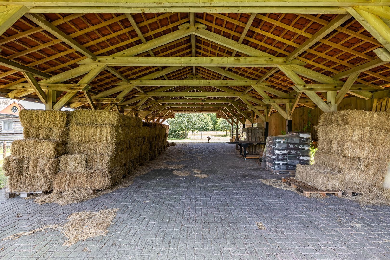 Bergveenweg 1, Veenhuizen foto-66