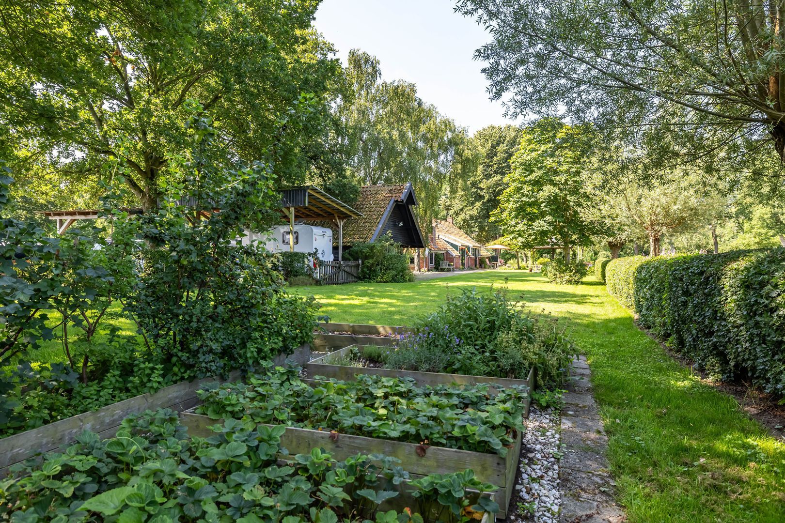 Meester Koolweg 2, Noordlaren foto-60