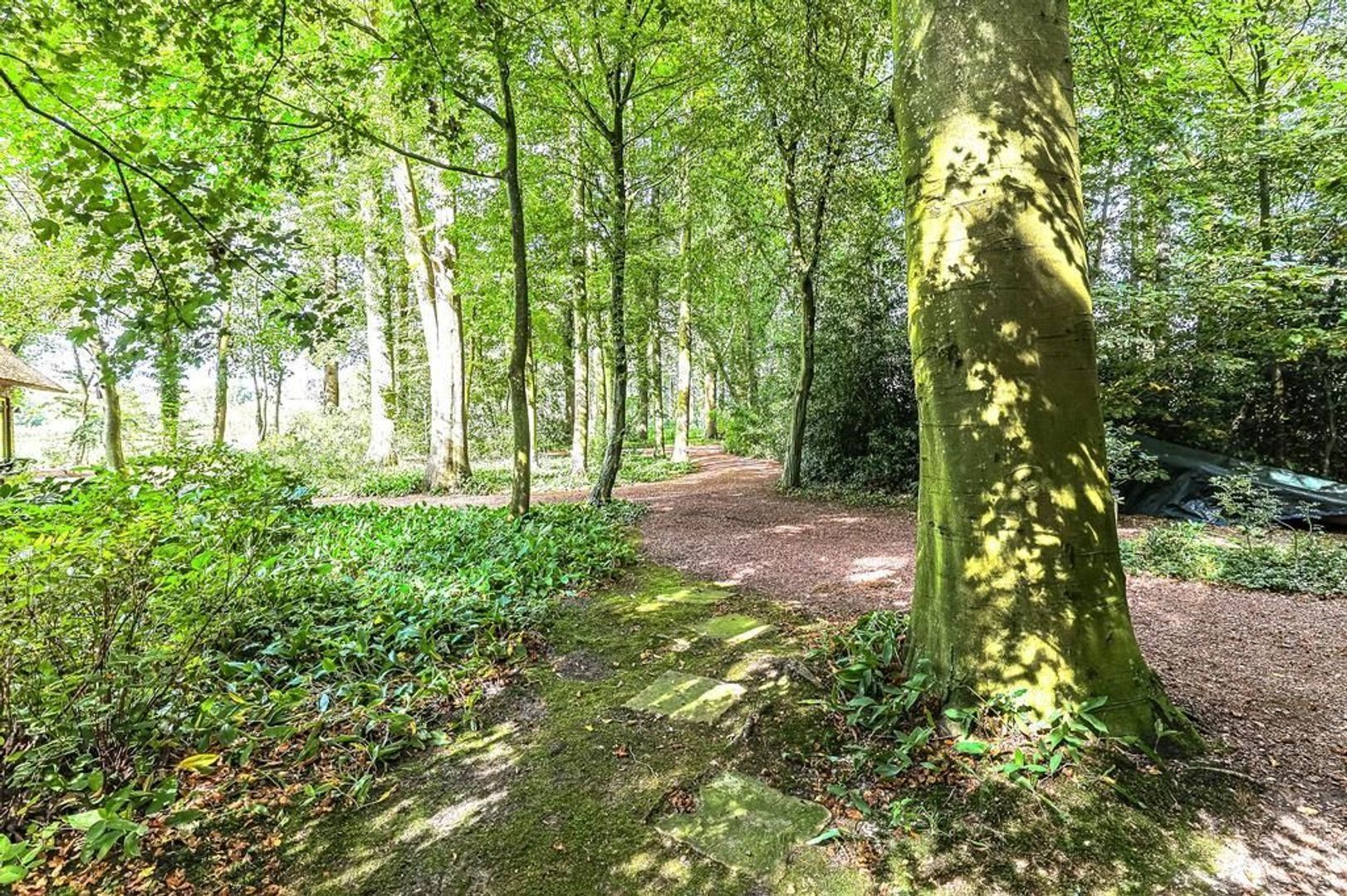 Lutsborgsweg 71, Haren GN foto-59
