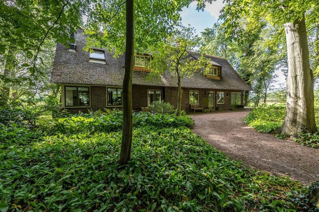 Lutsborgsweg 71, Haren GN foto-2