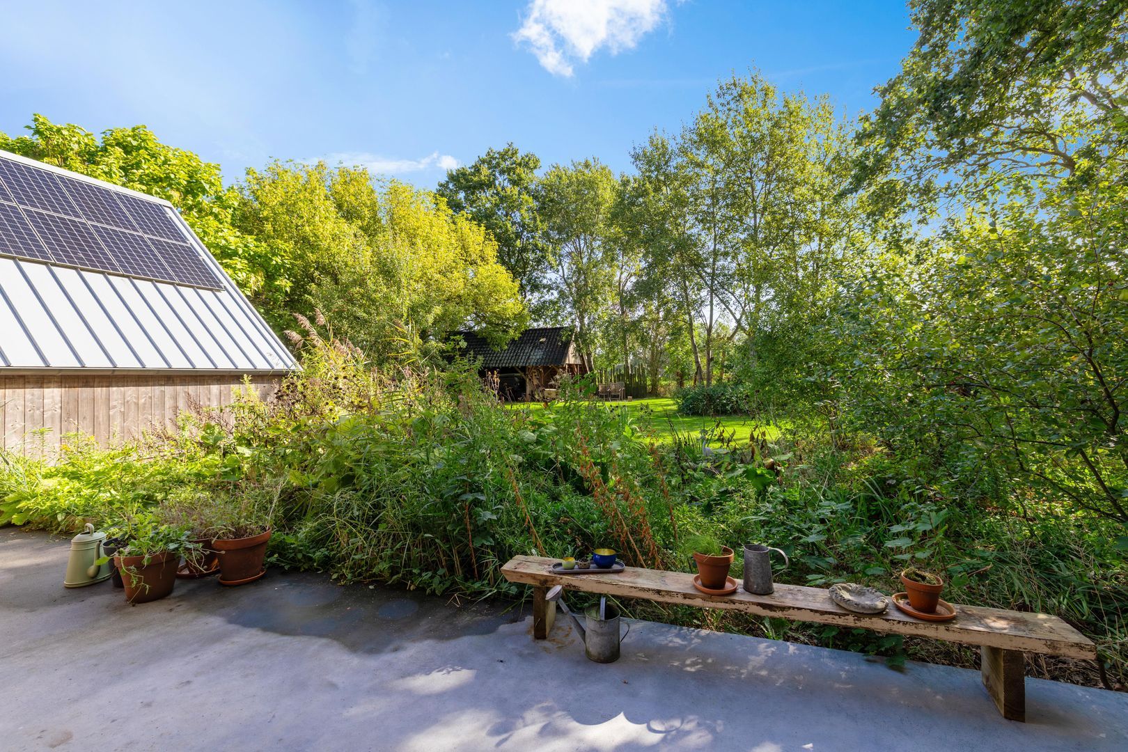 Commissiebos 6, Zevenhuizen foto-19
