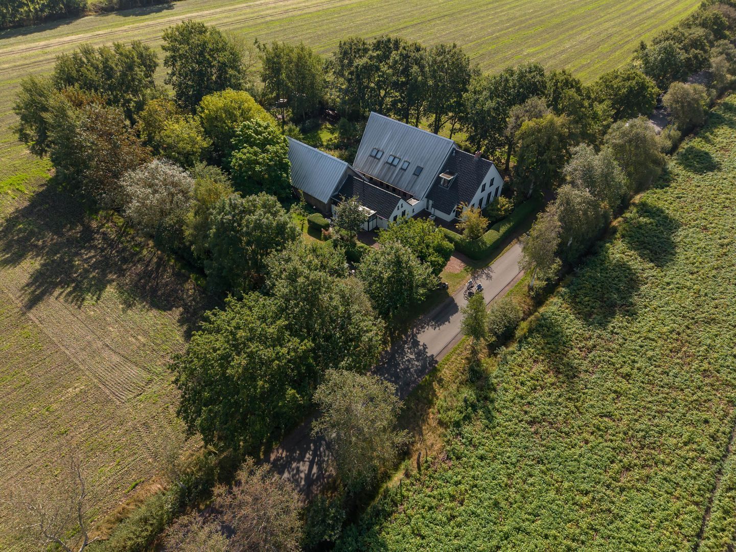 Commissiebos 6, Zevenhuizen foto-53