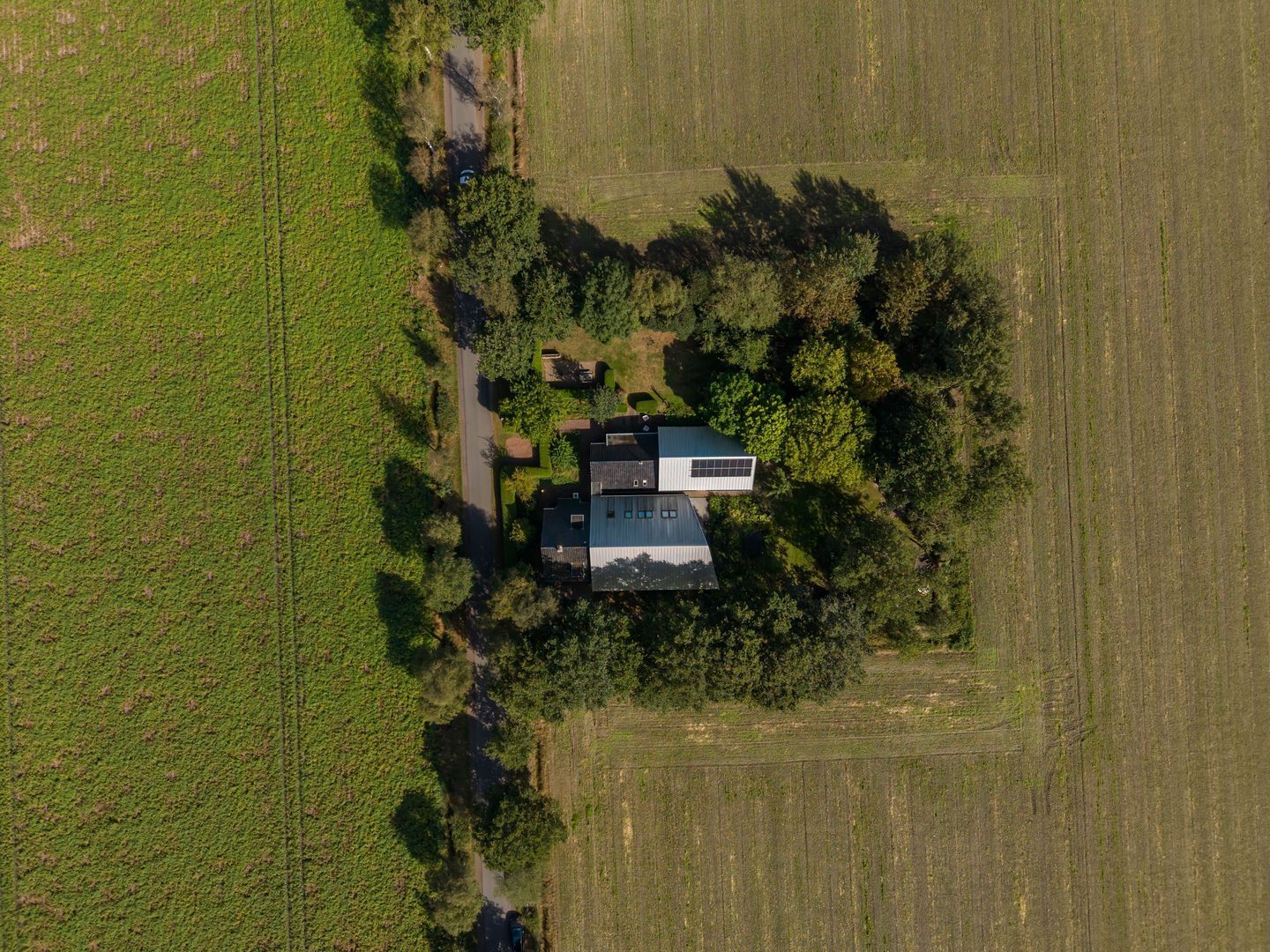 Commissiebos 6, Zevenhuizen foto-54