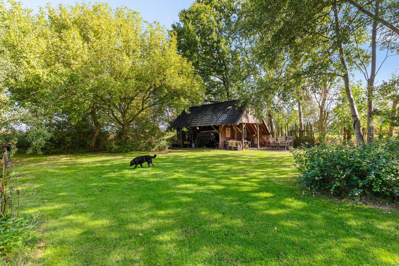Commissiebos 6, Zevenhuizen foto-35