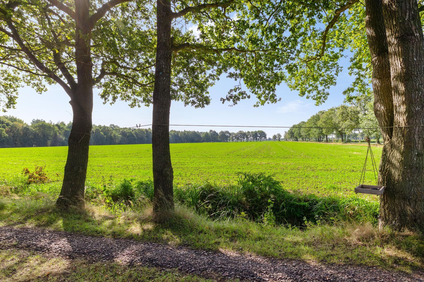 Commissiebos 6, Zevenhuizen foto-7