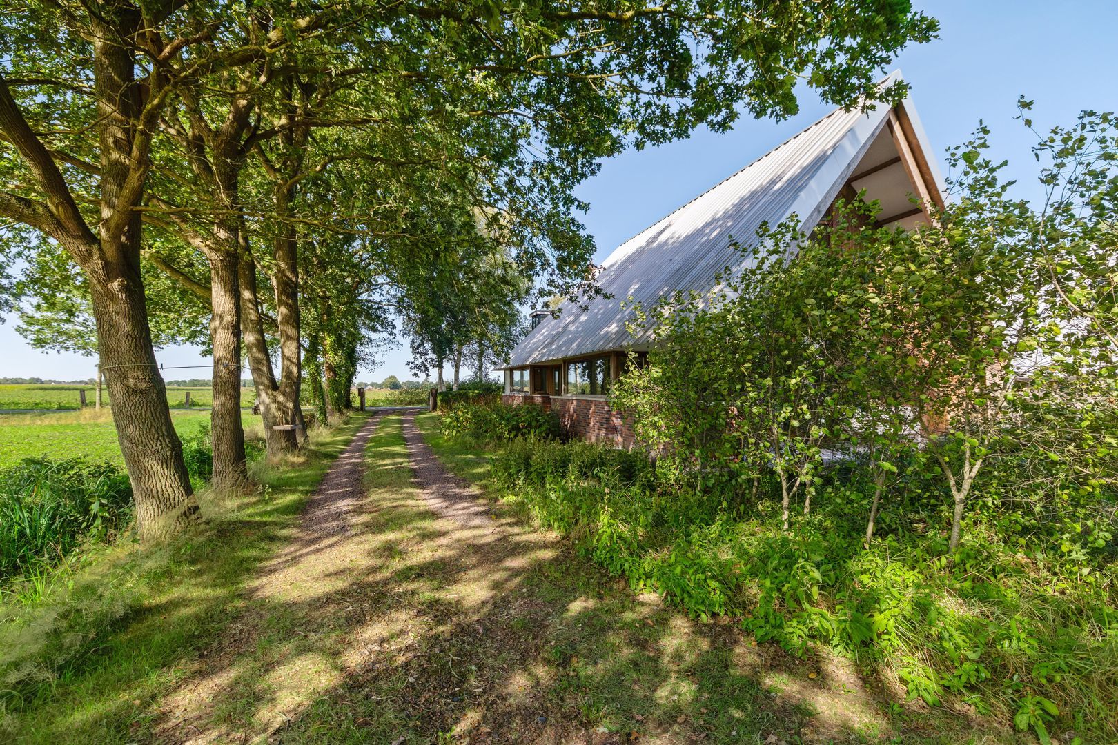Commissiebos 6, Zevenhuizen foto-5