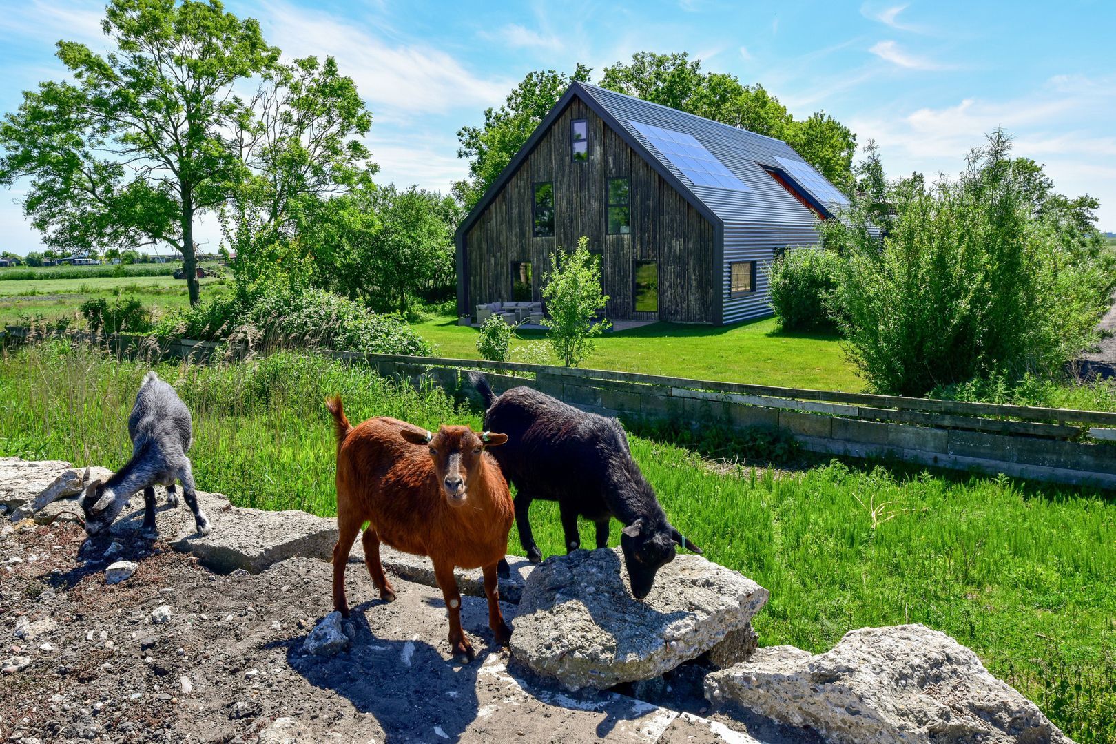 Bloemendalergouw 51 B, Amsterdam foto-1