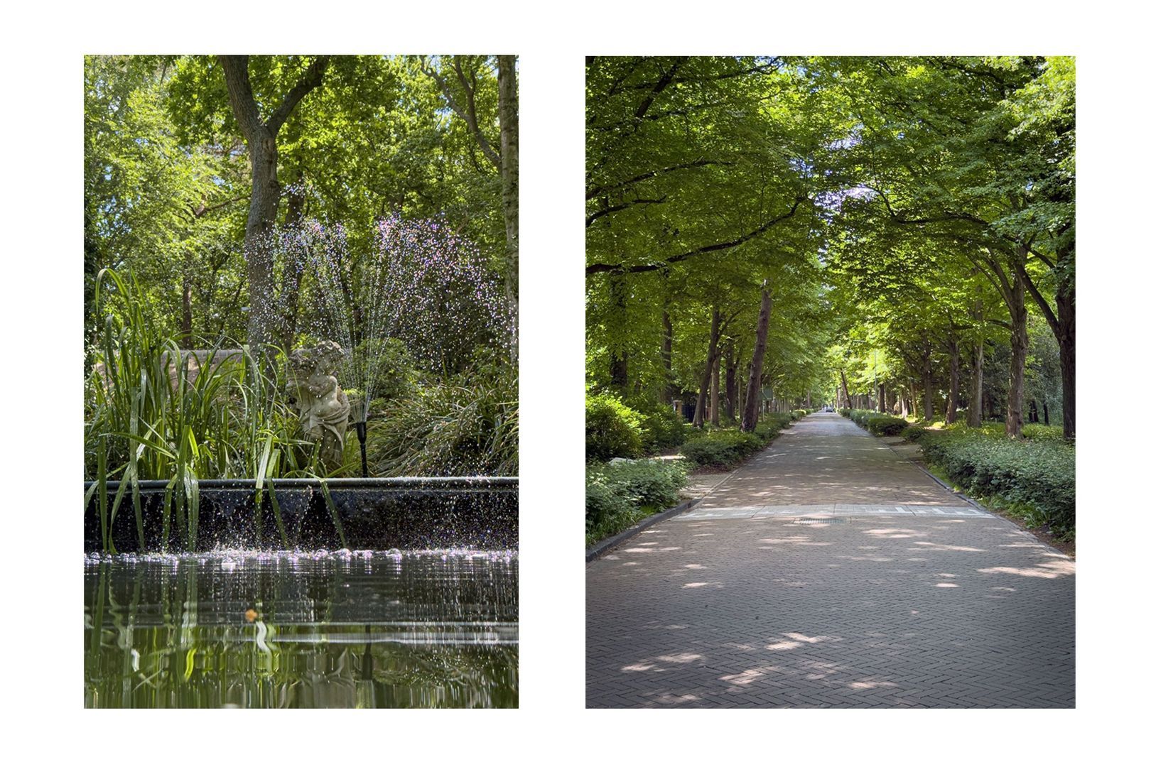 Eeuwigelaan 25, Bergen (nh) foto-25