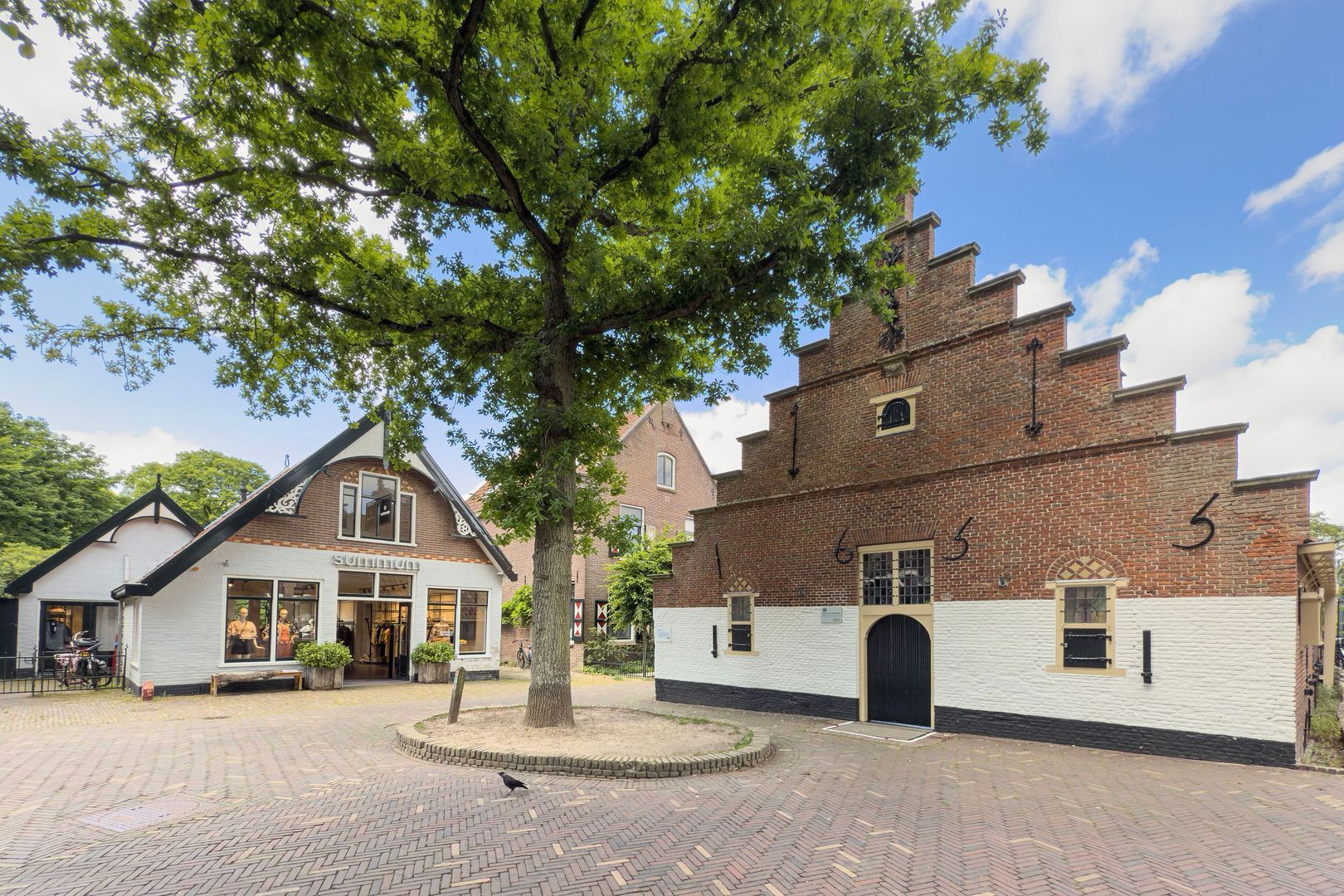 Eeuwigelaan 25, Bergen (nh) foto-32