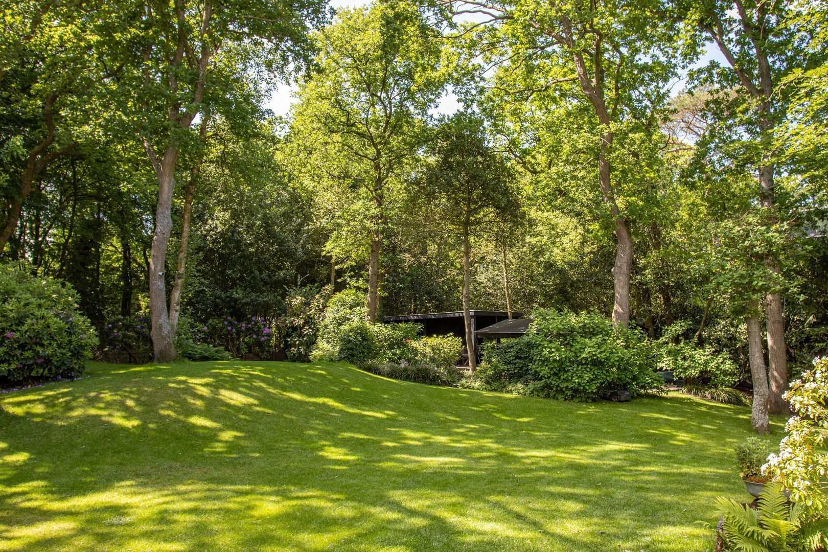 Eeuwigelaan 25, Bergen (nh) foto-7