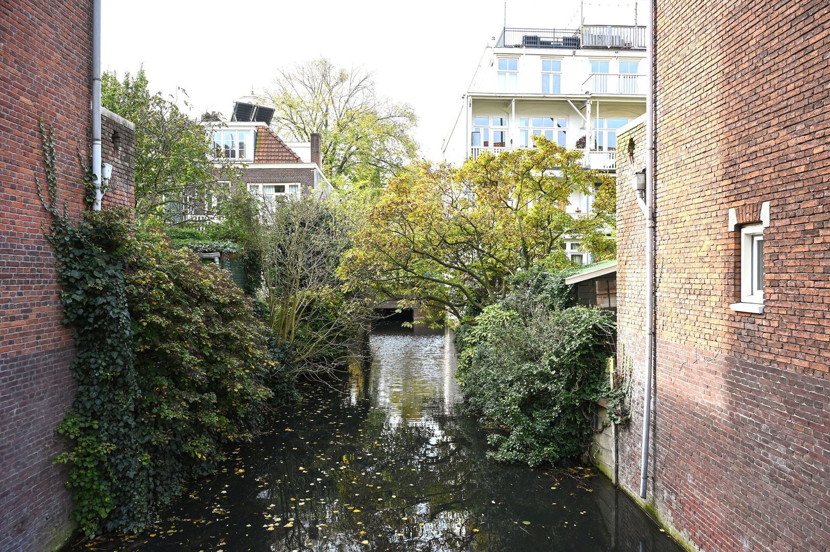 Middenweg 143 H, Amsterdam foto-24