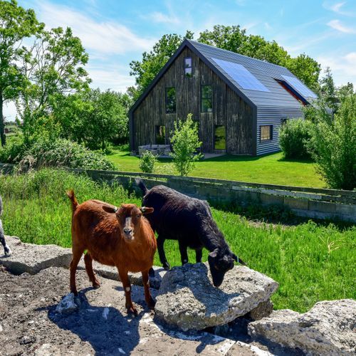 Bloemendalergouw 51 B, Amsterdam foto-1