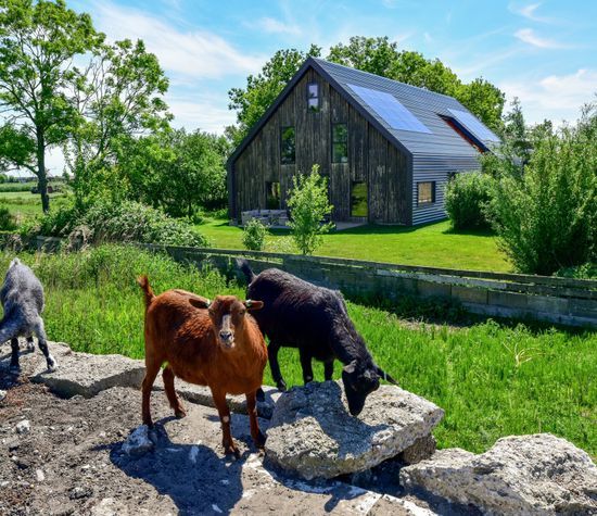 Bloemendalergouw 51 B, Amsterdam