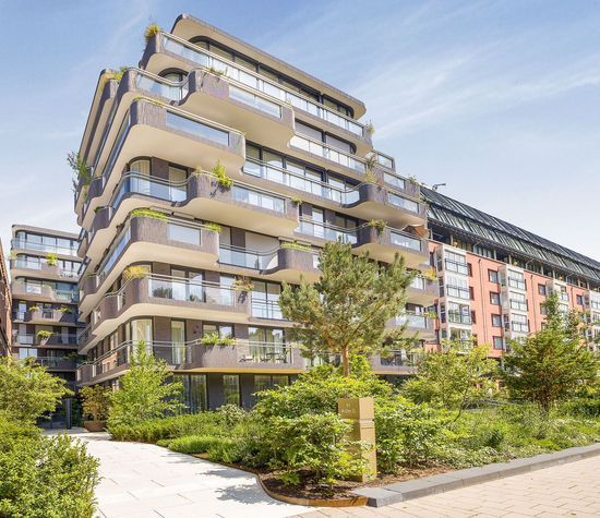 Pieter de Hoochstraat 11 D1, Amsterdam