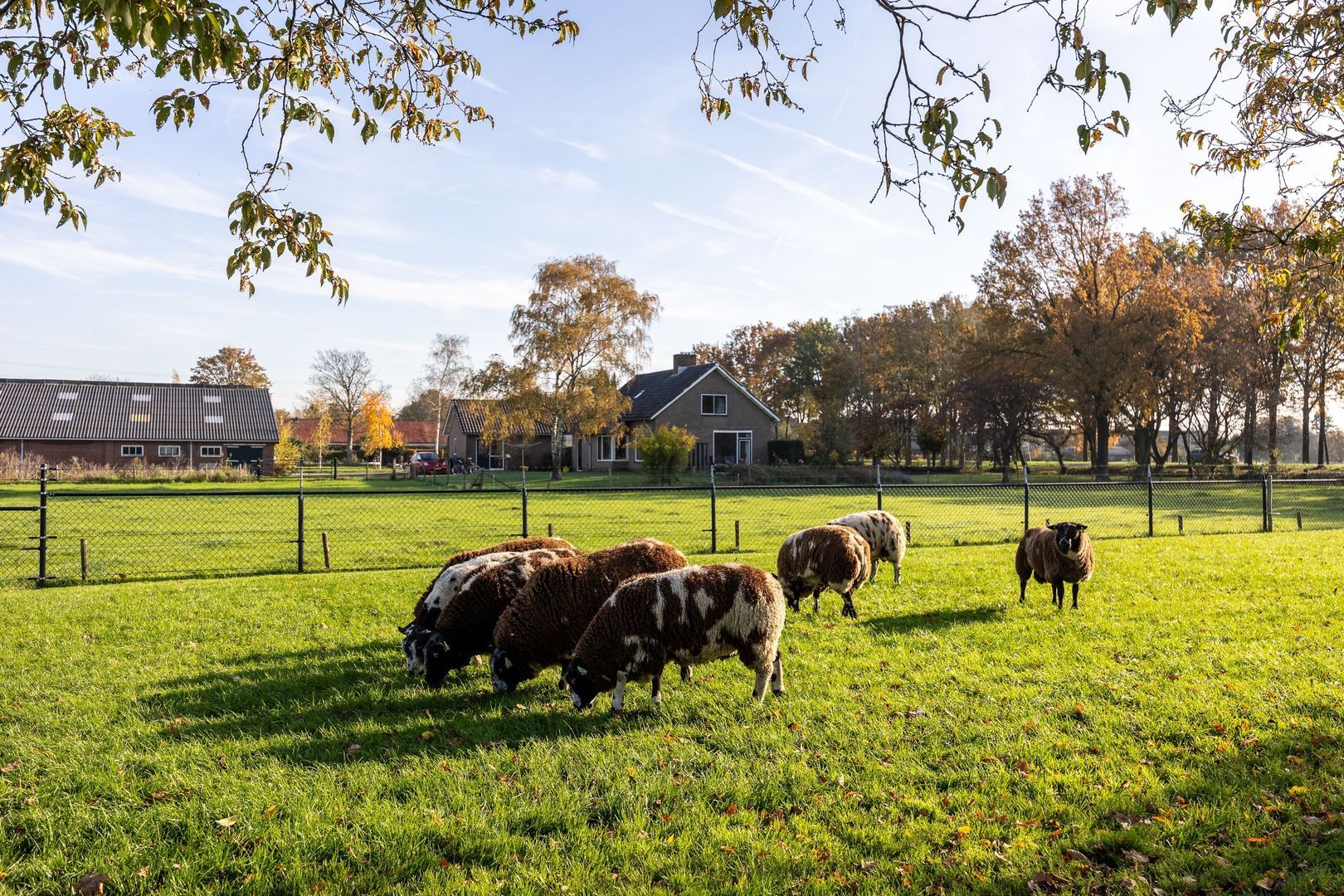 Lawickse Allee 220 B, Wageningen foto-63