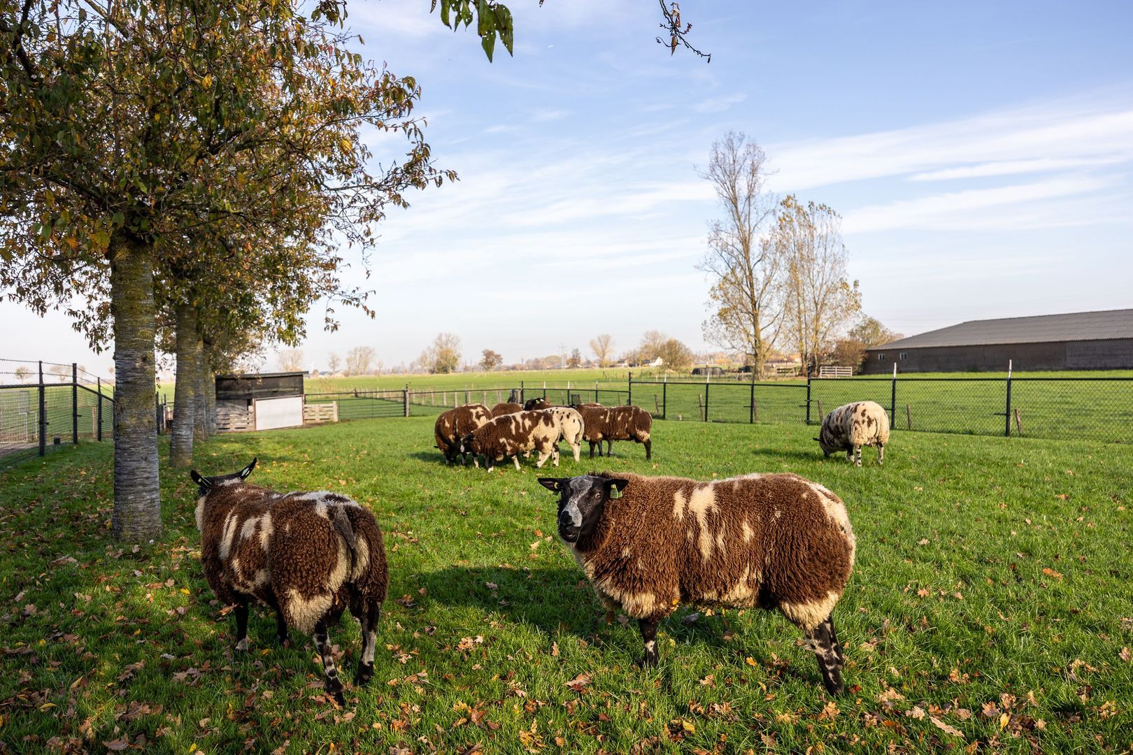 Lawickse Allee 220 B, Wageningen foto-62