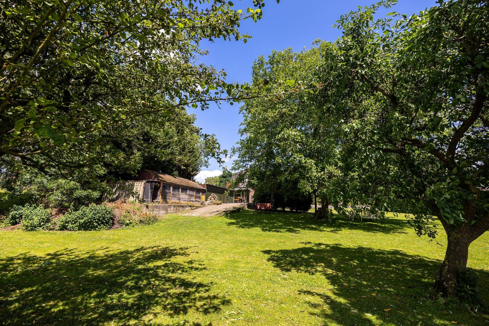 Schoutenboomgaardweg 2, Rhenen foto-36