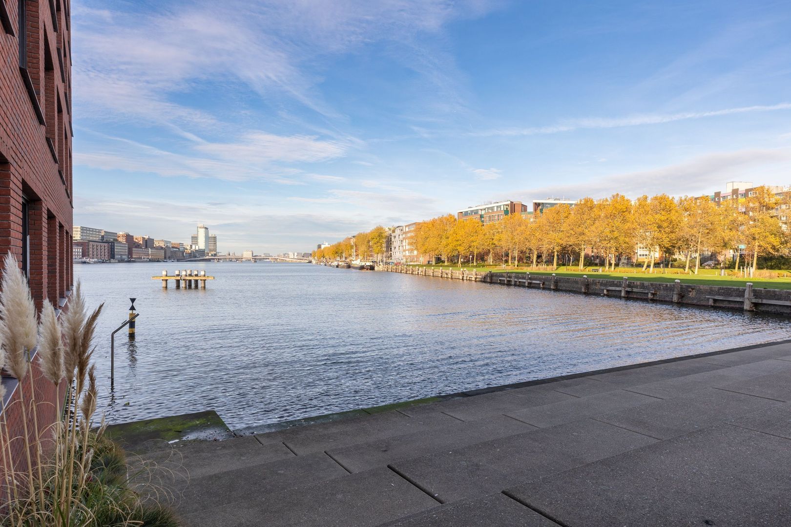 Bogortuin 249, Amsterdam foto-29