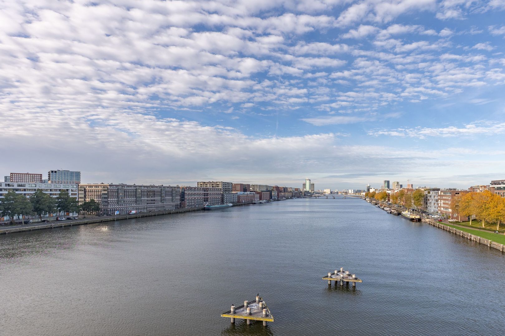 Bogortuin 249, Amsterdam foto-8