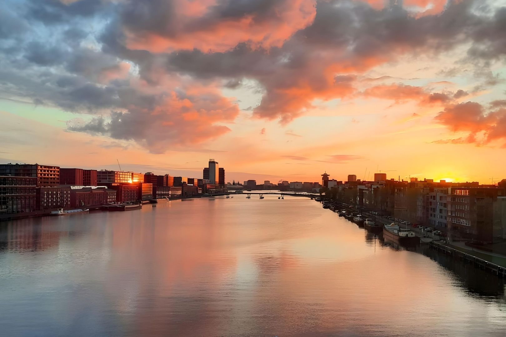 Bogortuin 249, Amsterdam foto-0