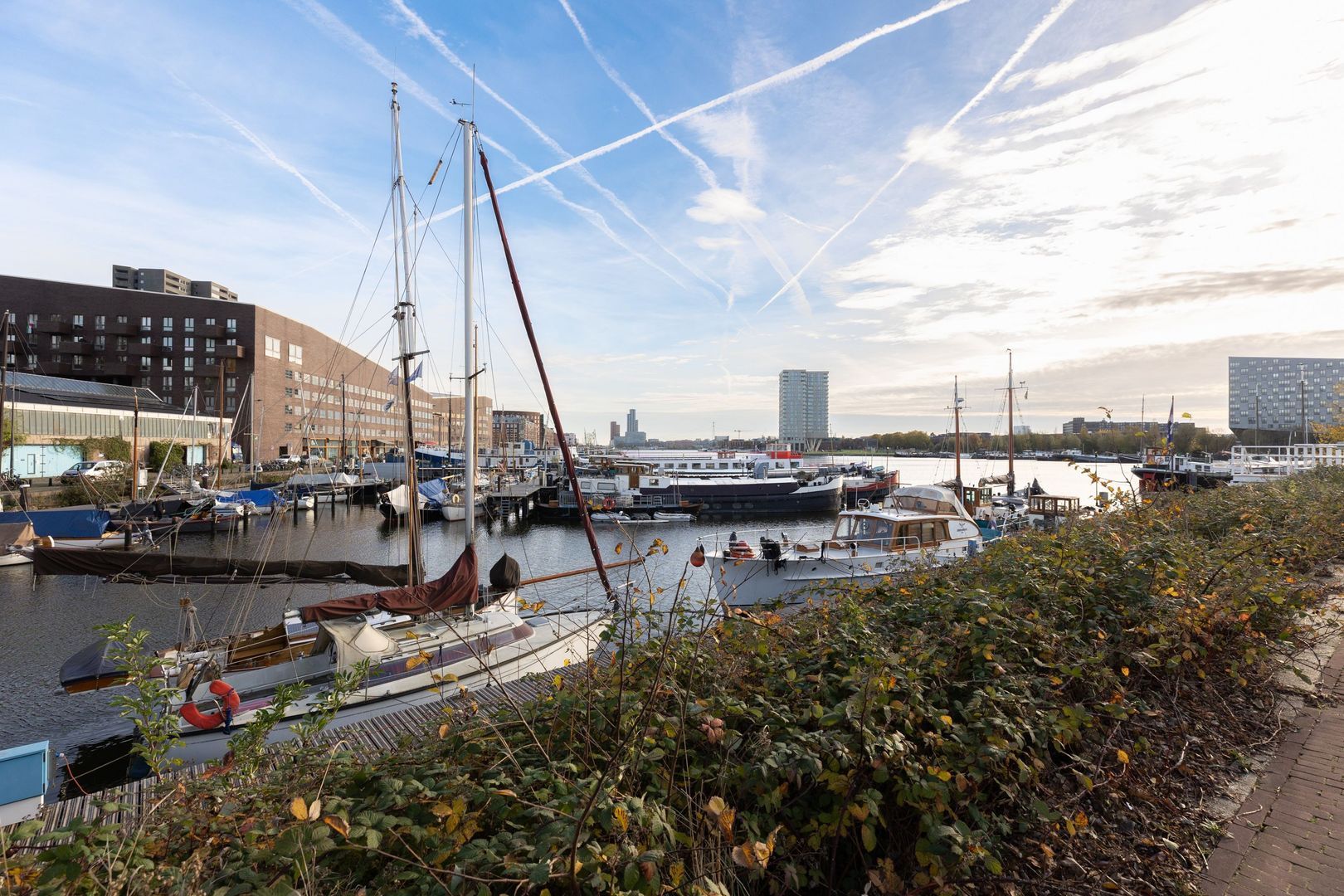 Bogortuin 249, Amsterdam foto-30