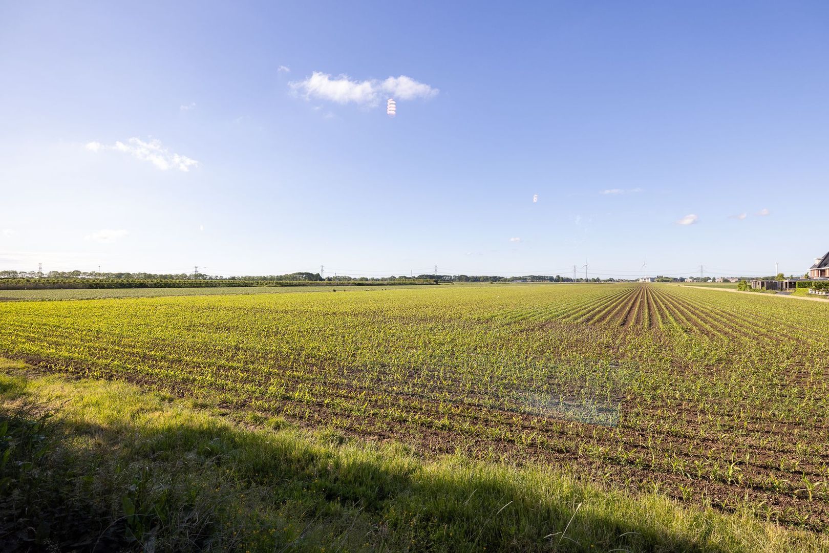 Raadhuislaan 22, Mijnsheerenland foto-49