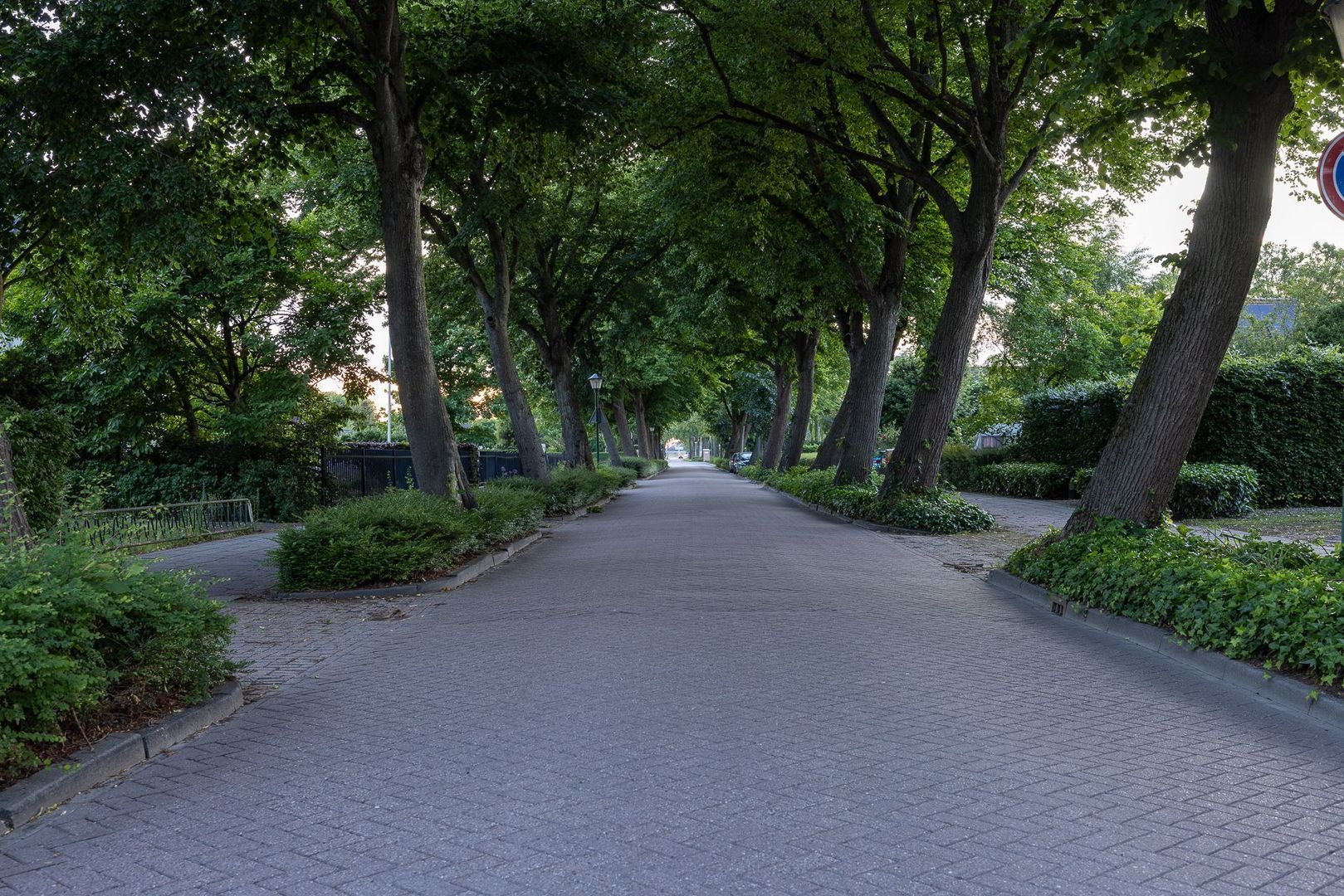 Raadhuislaan 22, Mijnsheerenland foto-69