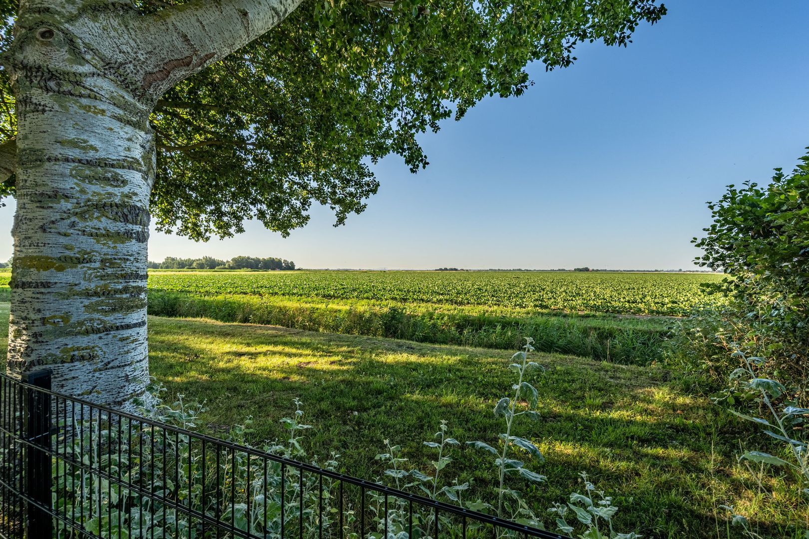 Ritselaarsdijk 10, Strijen foto-15