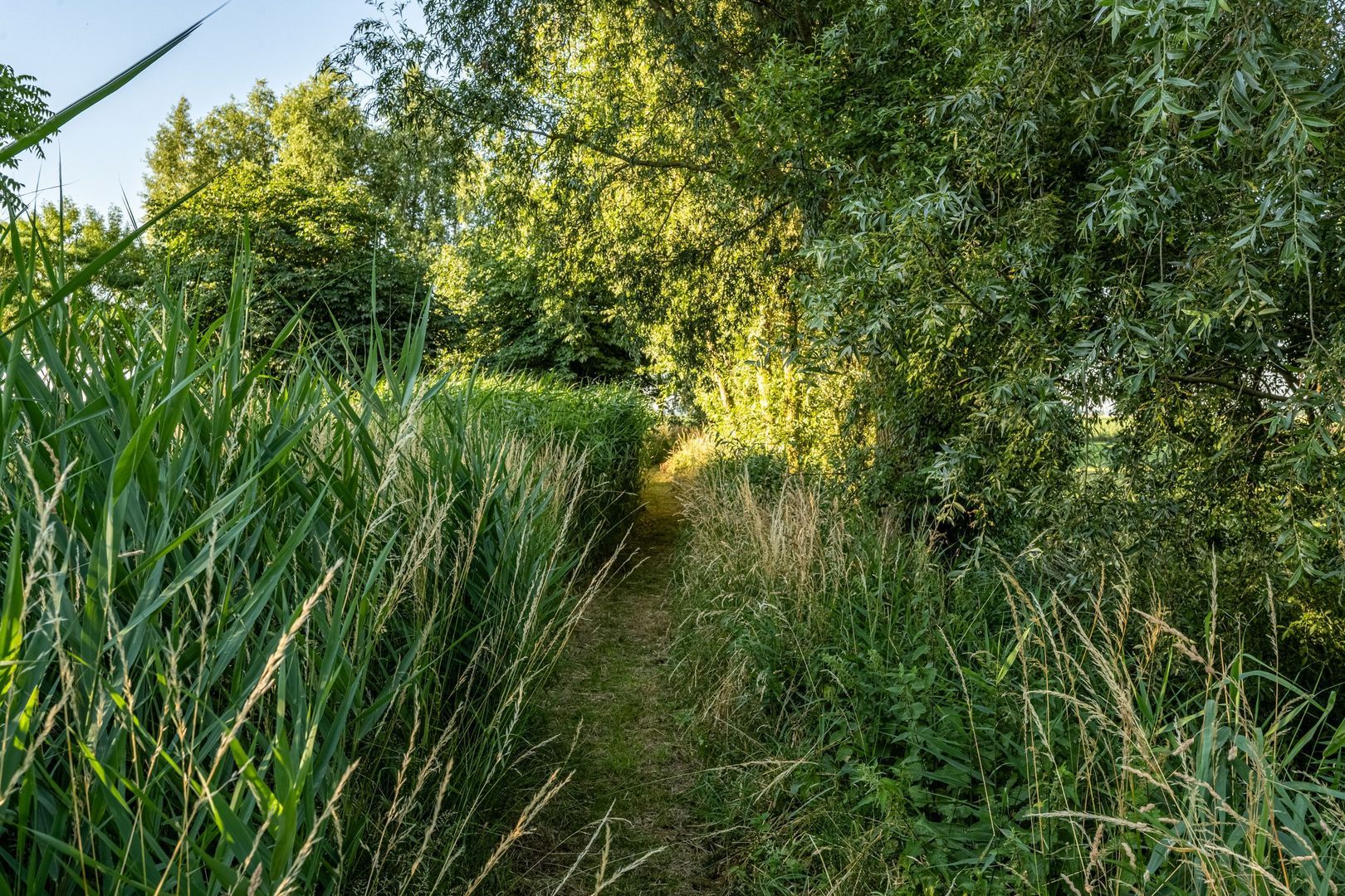 Ritselaarsdijk 10, Strijen foto-17
