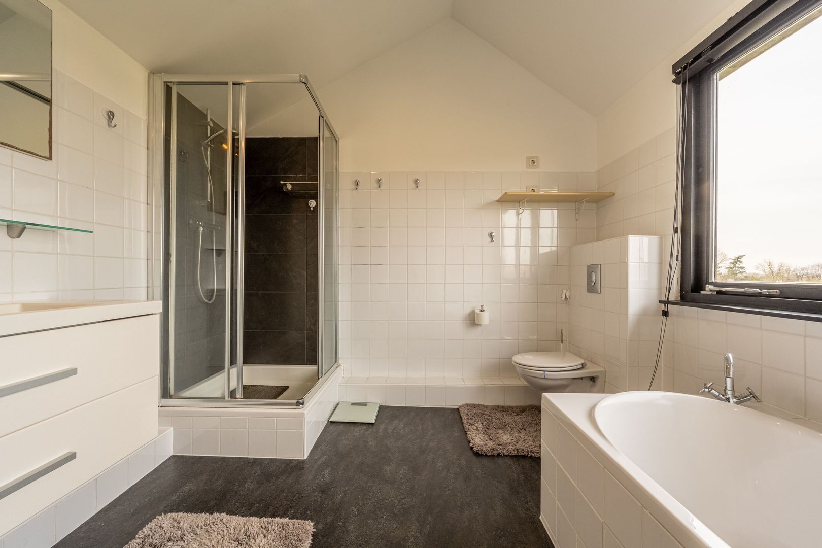 Zwanegatsedijk 4 A, Maasdam foto-18