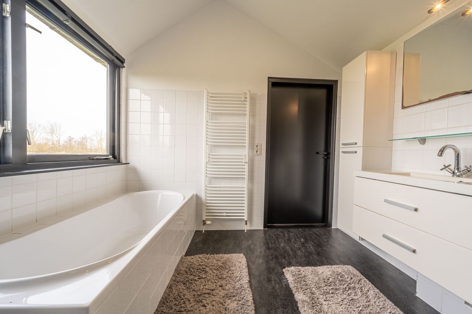 Zwanegatsedijk 4 A, Maasdam foto-19