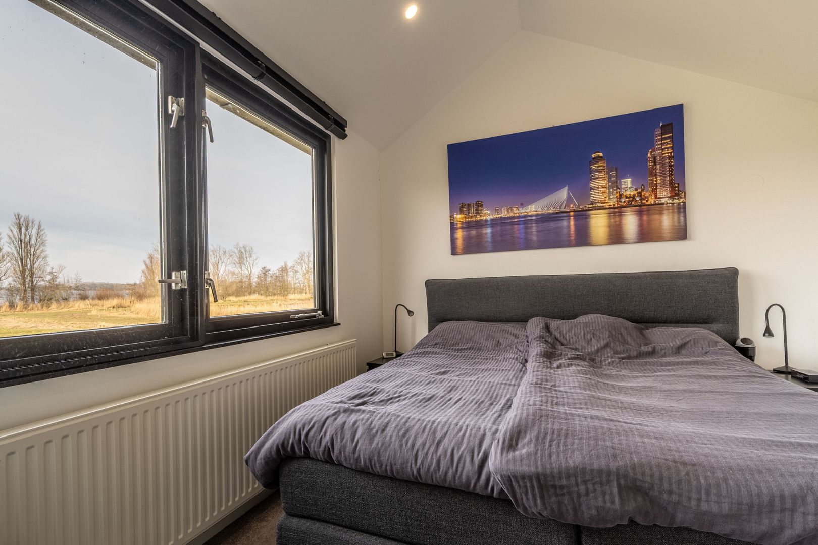 Zwanegatsedijk 4 A, Maasdam foto-15