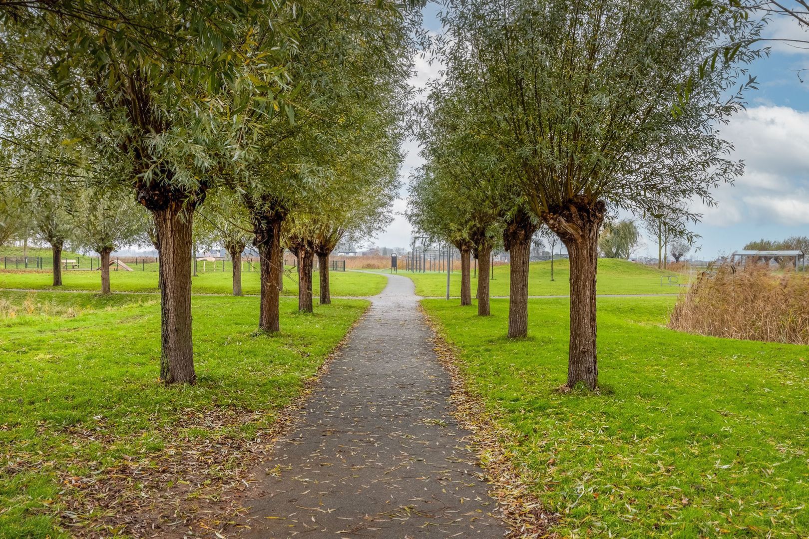 Johannes Kolfstraat 6, Westmaas foto-47
