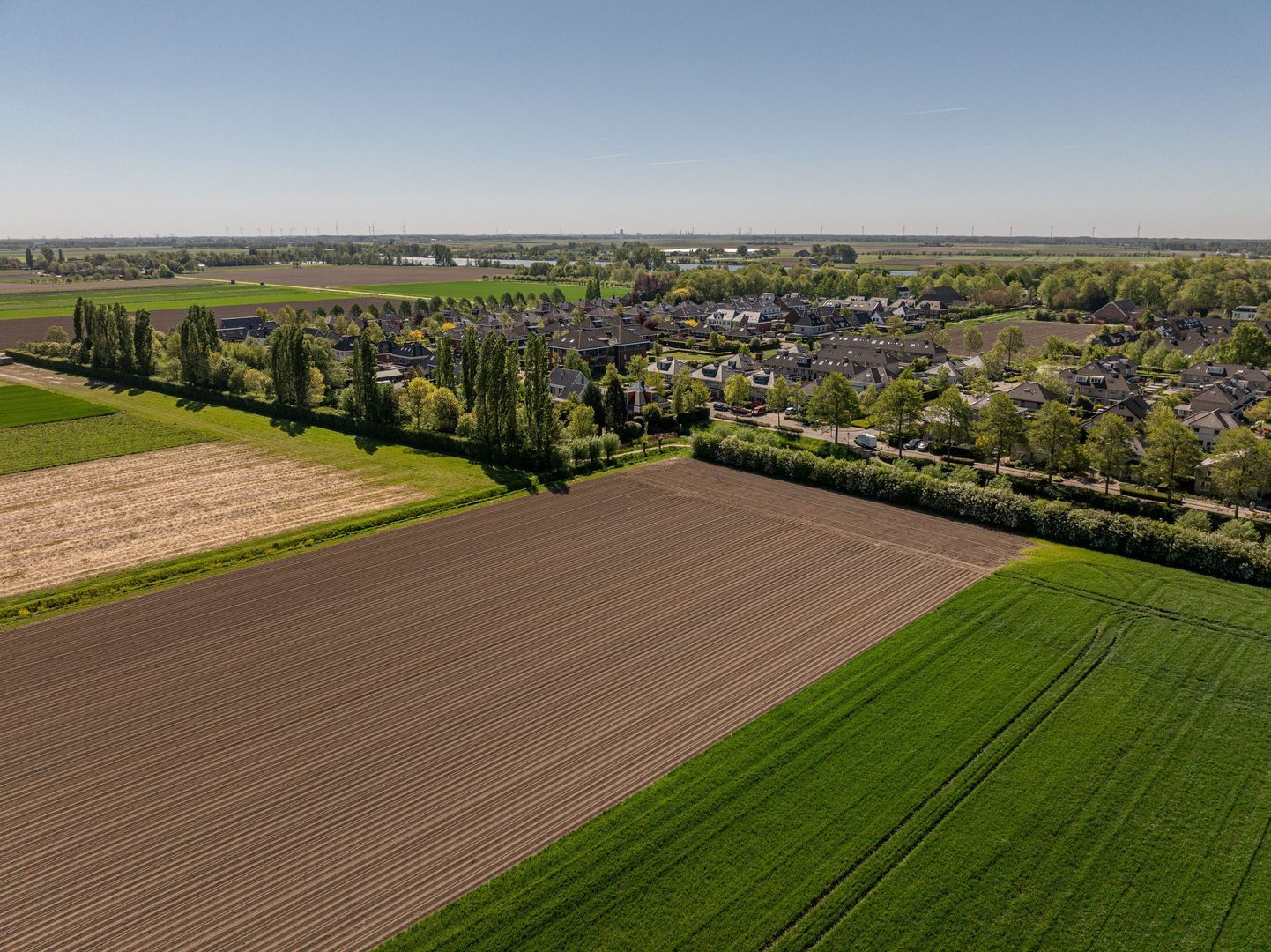 Ambachtsherenlaan 3, Mijnsheerenland foto-63