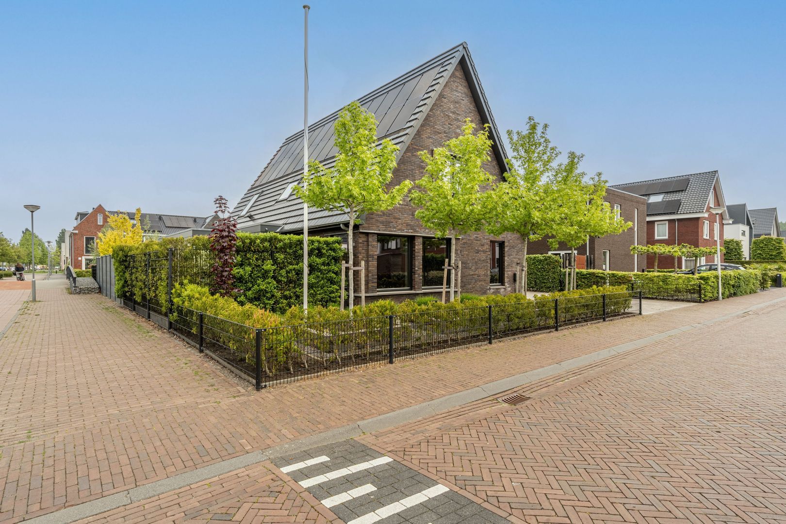 Viool 53, Oud-Beijerland foto-70