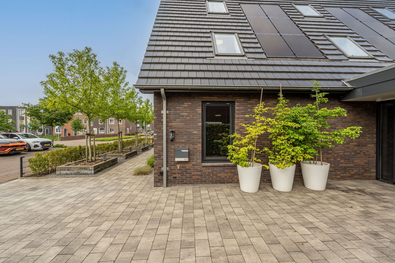Viool 53, Oud-Beijerland foto-65