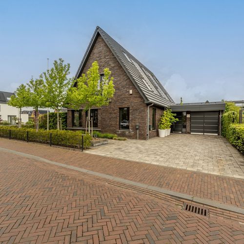 Viool 53, Oud-Beijerland foto-1