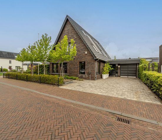 Viool 53, Oud-Beijerland